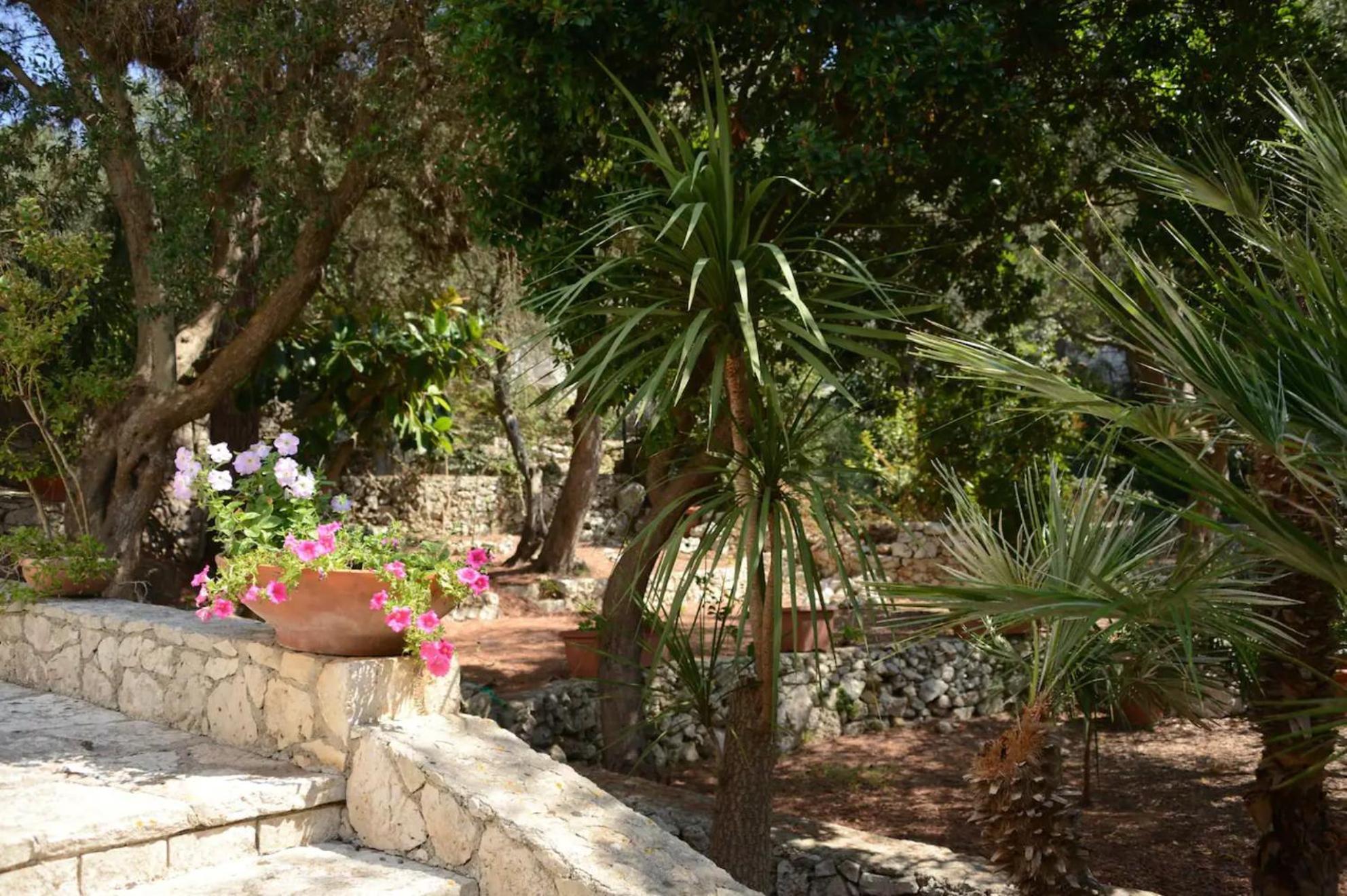 L'Antico Ulivo Villa Santa Cesarea Terme Ngoại thất bức ảnh