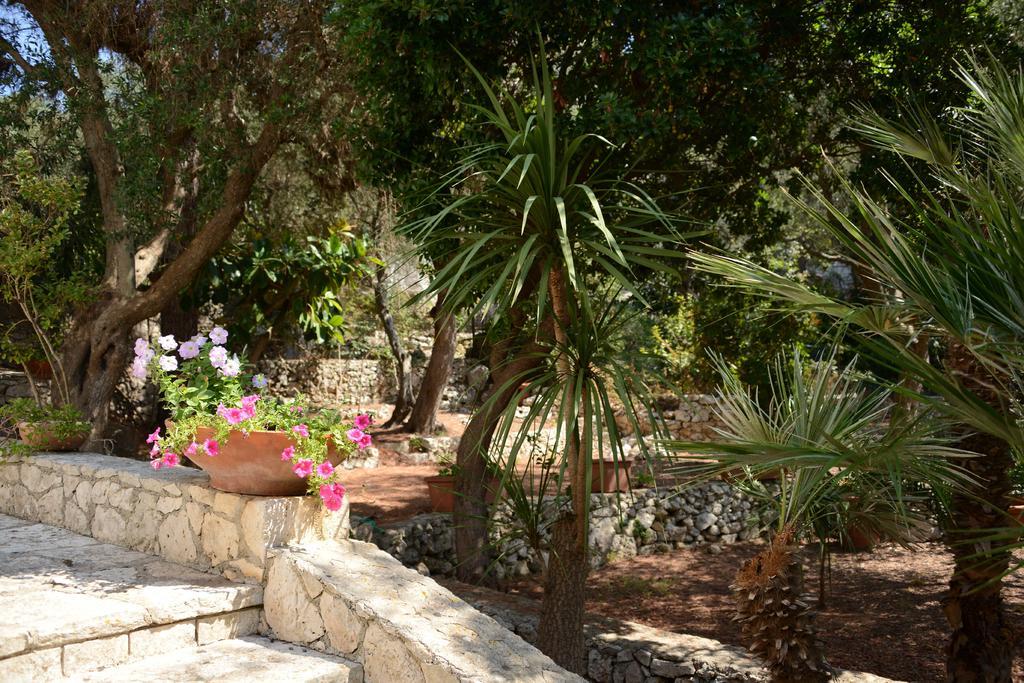 L'Antico Ulivo Villa Santa Cesarea Terme Ngoại thất bức ảnh