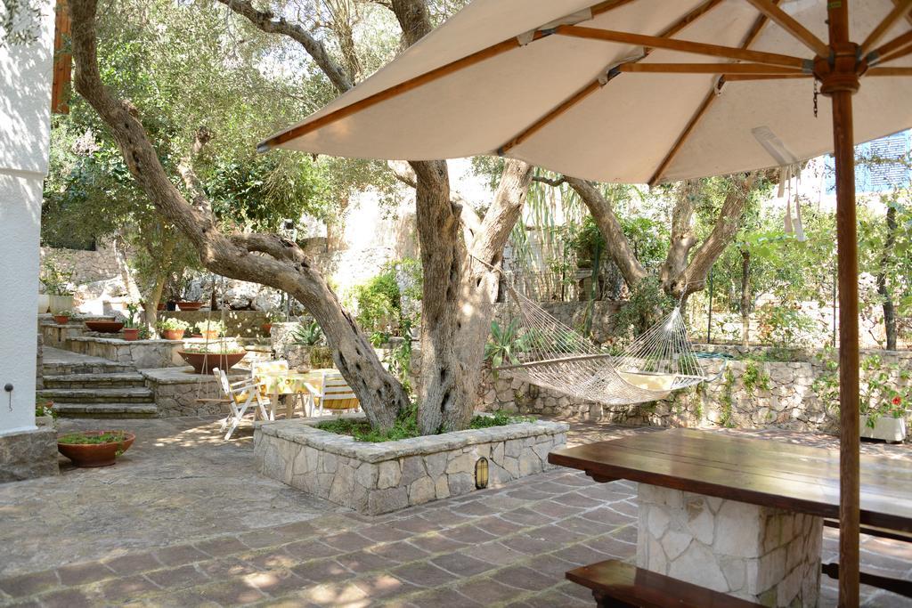 L'Antico Ulivo Villa Santa Cesarea Terme Ngoại thất bức ảnh